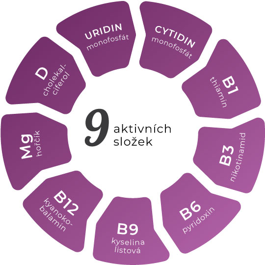 Biologické funkce aktivních složek